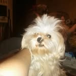 Justin - @justin_selles - Instagram