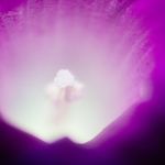 Justin Seward - @j.sewardphotos - Instagram