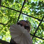 Justin Shafer - @justinnshaferr - Instagram
