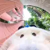 Justin Sharp - @justin.sharp7 - TikTok