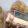 🚛 justinshine၊😘🚚🚛🚜🚍 - @justinshine60 - TikTok