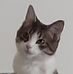 Justin Six - Facebook