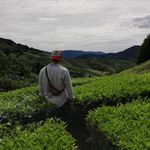 Justin Sly - @jcsly91 - Instagram