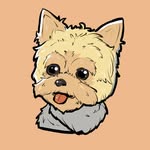 水滴 - @justinsly1123 - Instagram