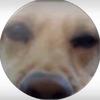 Justin Smiley - @justinsmiley5 - TikTok