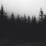 Justin Sparrow - @js.___.js - Instagram
