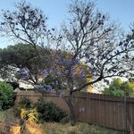 Justin Spratley - @justin.spratley.9 - Instagram