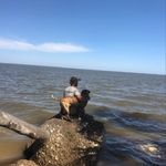 Justin Squire - @squire.justin - Instagram