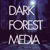 Justin Squires - @darkforestmedia - TikTok