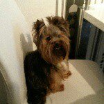 nicky - @justinstabley41 - Instagram