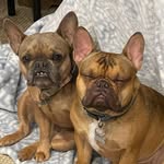 Justin (Jay) Stack - @jaystacked4 - Instagram