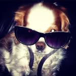 Justin Stack - @stack298 - Instagram