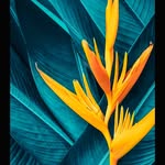 justin.stacks21 - @justin.stacks21 - Instagram