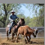 Justin Stacy - @justin.stacy.355 - Instagram