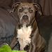 Justin Staley - Facebook