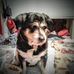 Justin Standridge - Facebook