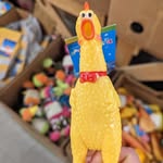 Justin Stanek - @stanekjustin - Instagram