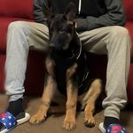 Justin Stangl - @justin.stangl - Instagram