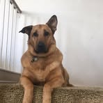 Justin Stankiewicz - Facebook