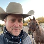 Justin Stark - @horse.dentist - Instagram