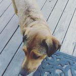 upoen - @justinstarkey58 - Instagram