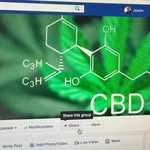 Justin Stead B.S., CSCS - @cbda2z - Instagram