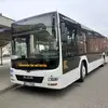 Justin Steffen647 - @j_steffen - TikTok