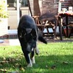 Justin Steinbach - @steinbach_justin - Instagram