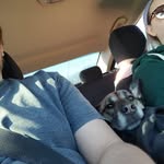 Justin Steinke - @justin.steinke.37 - Instagram