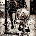 Justin Steinke - @steinkehorseshoeing - Instagram