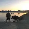 Justin Steinke - @j.steinke250101 - TikTok