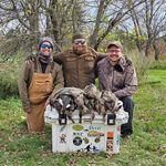 Justin Steinman - @justin_steinman - Instagram
