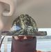 Justin Stephen - Facebook