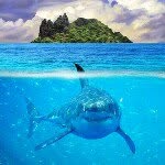@justin_stever - Instagram