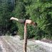 Justin Steward - Facebook