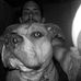 Justin Steward - Facebook