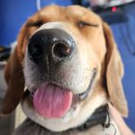 Justin Stieren - @justinstieren - Instagram