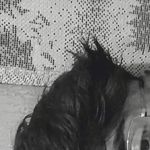 Justin Stiles - @justin_stiles.7 - Instagram