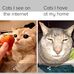 Justin Stilwell page - Facebook