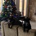 Justin Stone - Facebook
