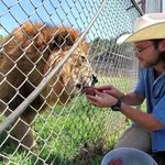 🦁Justin Stripling🐯 - @jstriptigerblood - Instagram