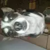 Justin Strong - @justin.strong6 - TikTok