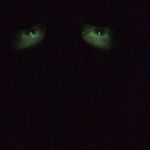 Justin Stump - @justinhates - Instagram