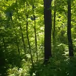 Justin Stump - @stumps923 - Instagram