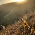 Justin Suttles - @justin_suttles13 - Instagram