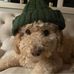Justin Symonds - Facebook