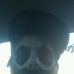 Justin Tefft - Facebook