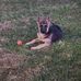Justin Teter - Facebook