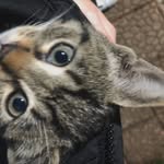 @justin.thelen123 - Instagram