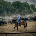 Justin Thiessen - @justinthiessen05 - Instagram